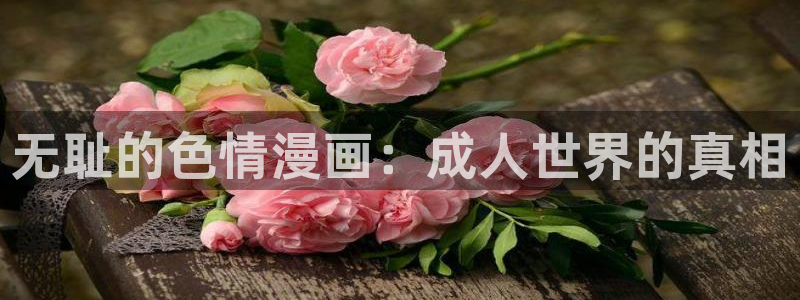 香蕉文化漫画书免费阅读平台网页版