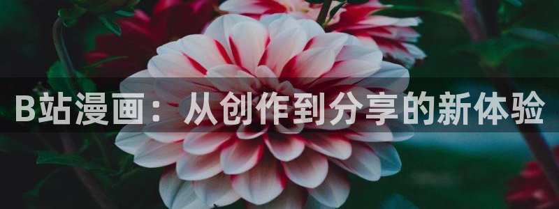 香蕉文化漫画书免费下拉式小说