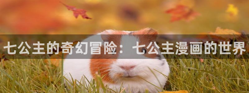 香蕉漫画在线观看网站