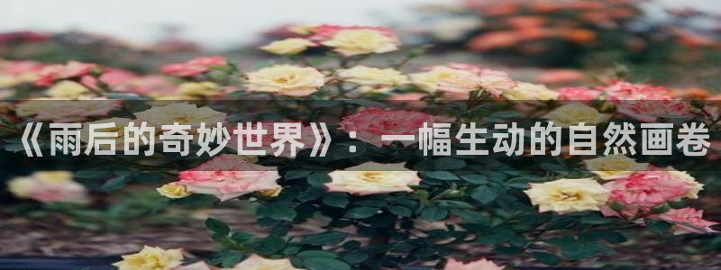 香蕉漫画羞羞漫画