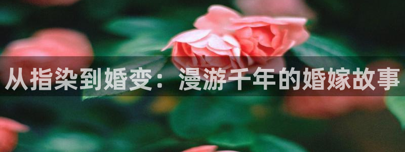 香蕉漫画免费弹窗入口