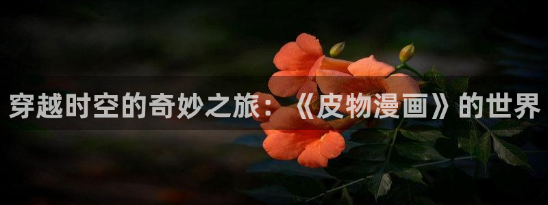 香蕉文化—漫画