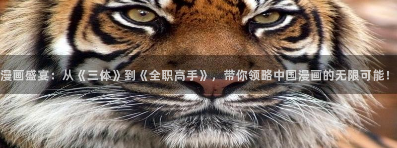香蕉文化动画漫画
