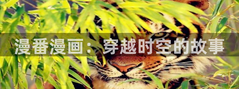 香蕉漫画在线观看入口