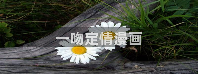 香蕉文化漫画书官方网站
