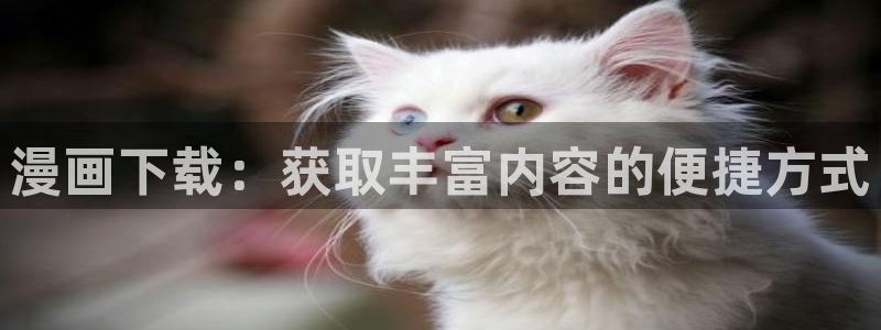 香蕉文化免费读漫画的平台