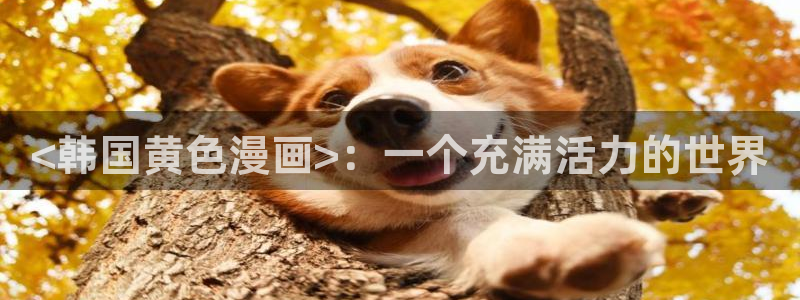 香蕉文化漫画小说还更新吗
