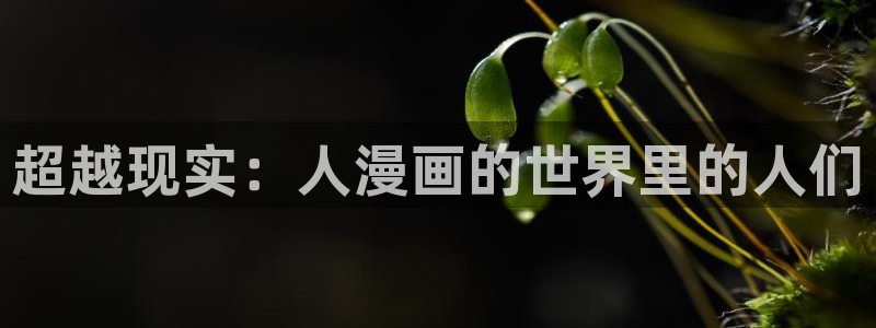 香蕉漫画最新网址