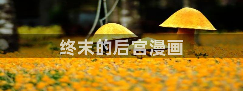 香蕉漫画阅读器：终末的后宫漫画